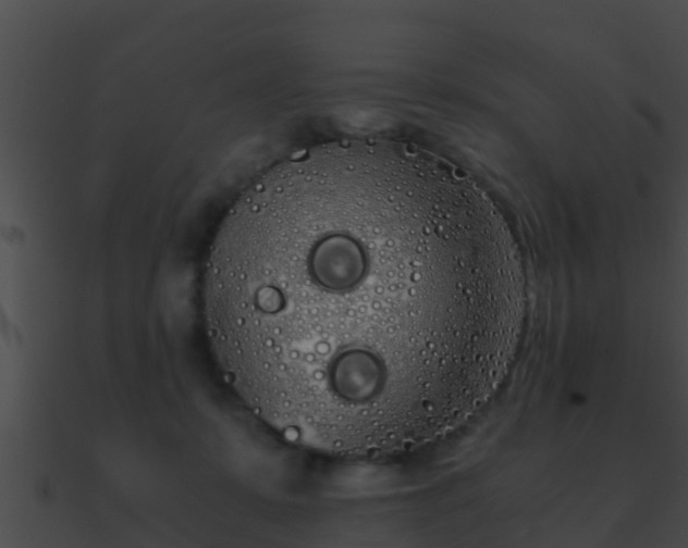 X0000090860319200708030953