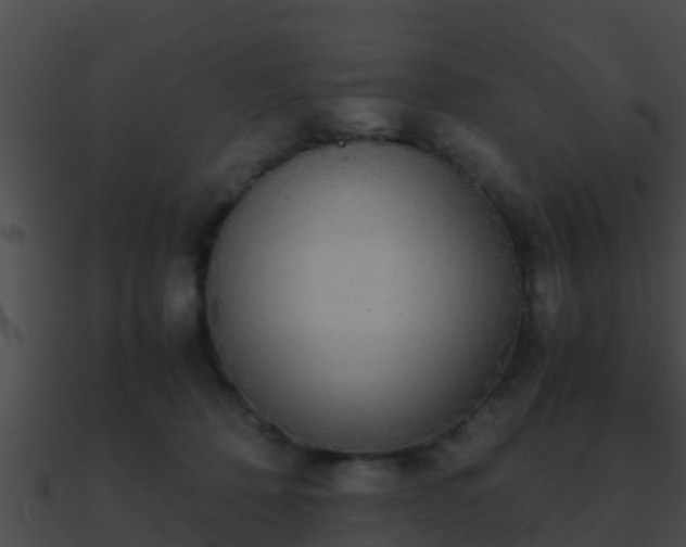 X0000090860320200708030953