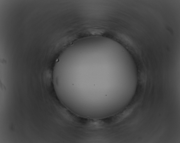 X0000090860321200708030953