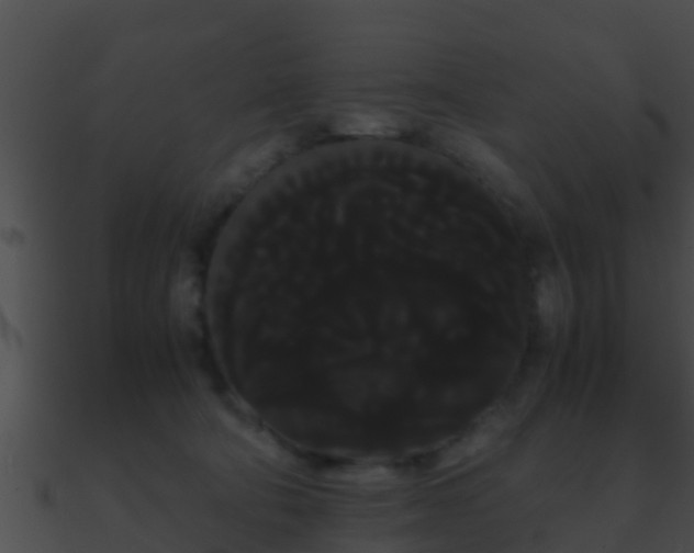 X0000090860322200708030953