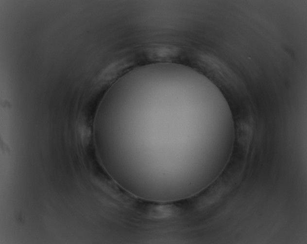 X0000090860324200708030953