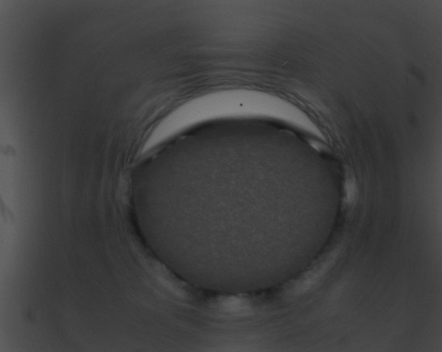 X0000090860325200708030953