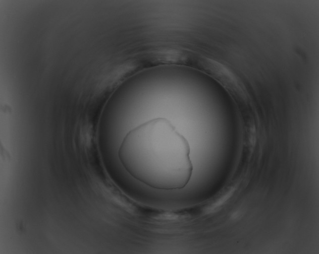 X0000090860326200708030953