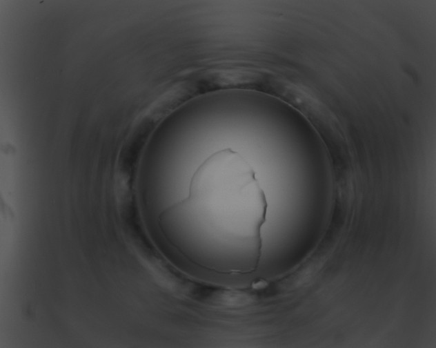 X0000090860327200708030953