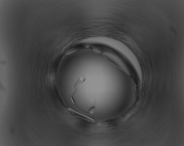 X0000090860329200708030953