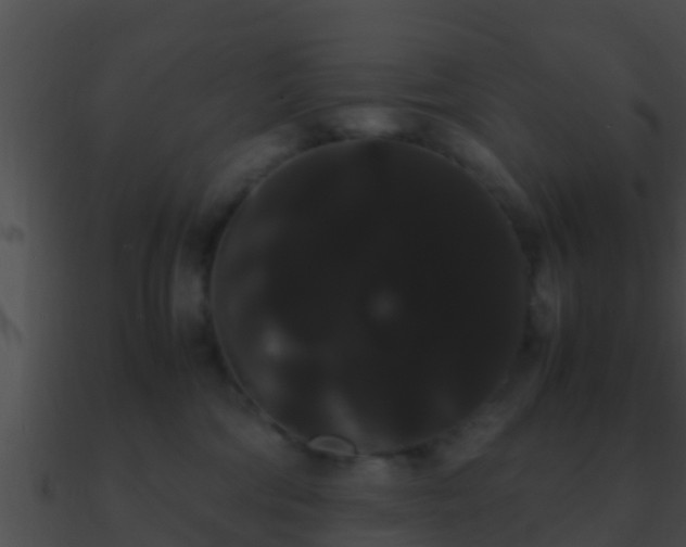 X0000090860330200708030953