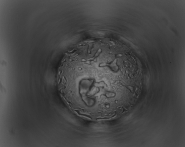 X0000090860331200708030953