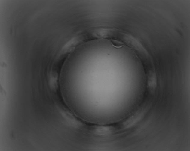 X0000090860332200708030953