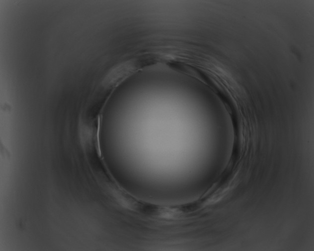 X0000090860333200708030953