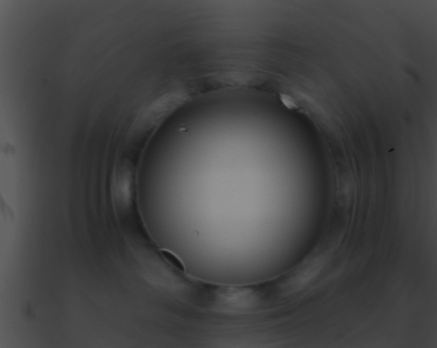 X0000090860334200708030953