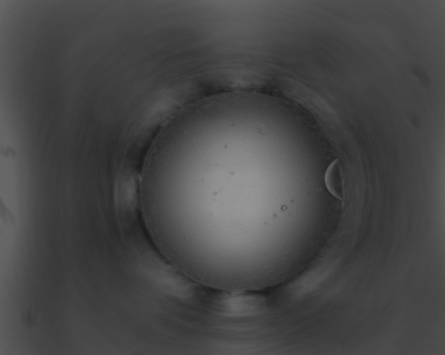 X0000090860336200708030953