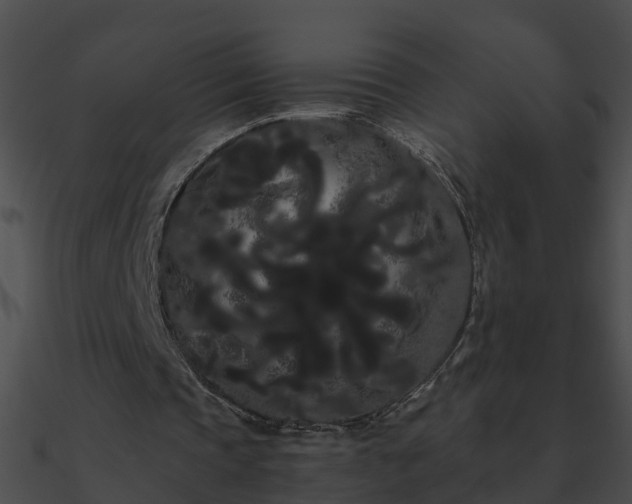 X0000090860337200708030952