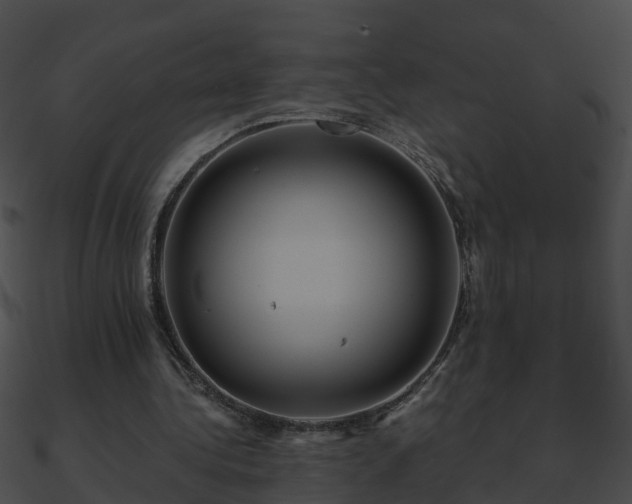 X0000090860340200708030952