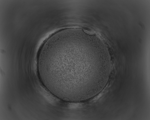 X0000090860342200708030952