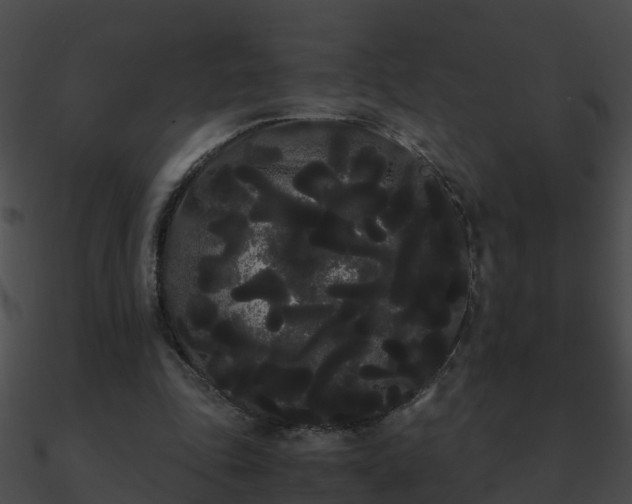 X0000090860343200708030952