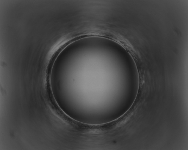 X0000090860344200708030952