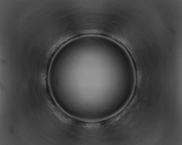 X0000090860345200708030952