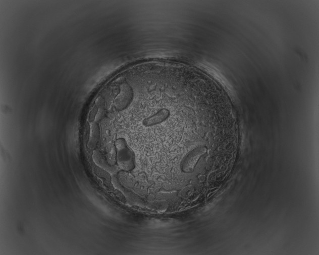 X0000090860346200708030952