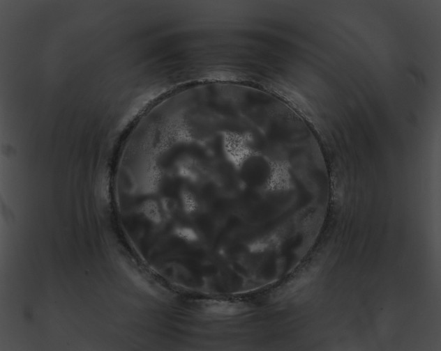 X0000090860347200708030952