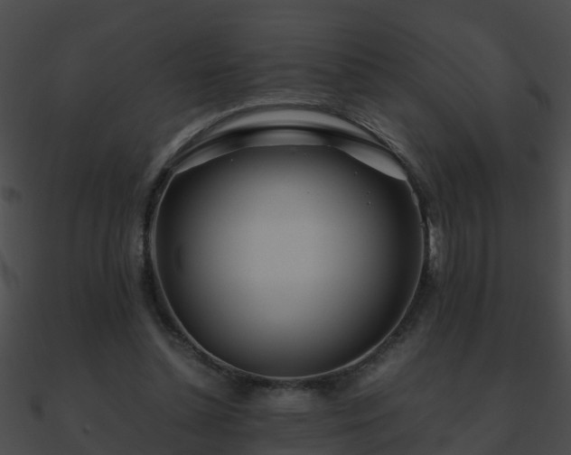 X0000090860348200708030952
