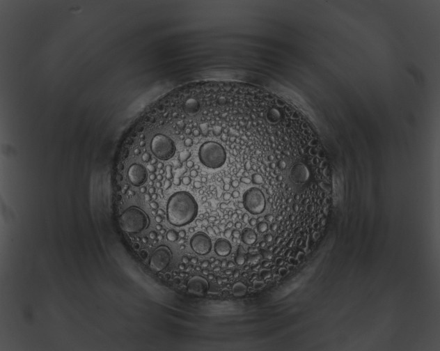 X0000090860349200708030952