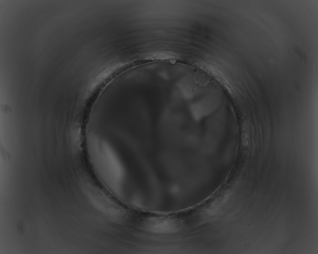 X0000090860351200708030952