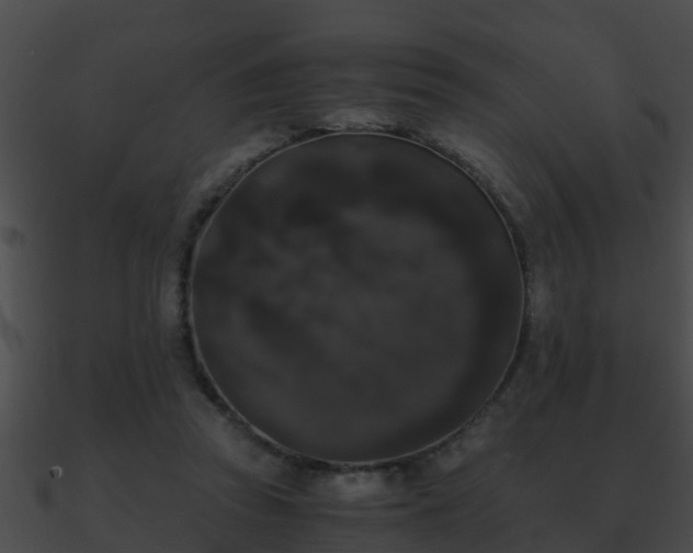 X0000090860353200708030952