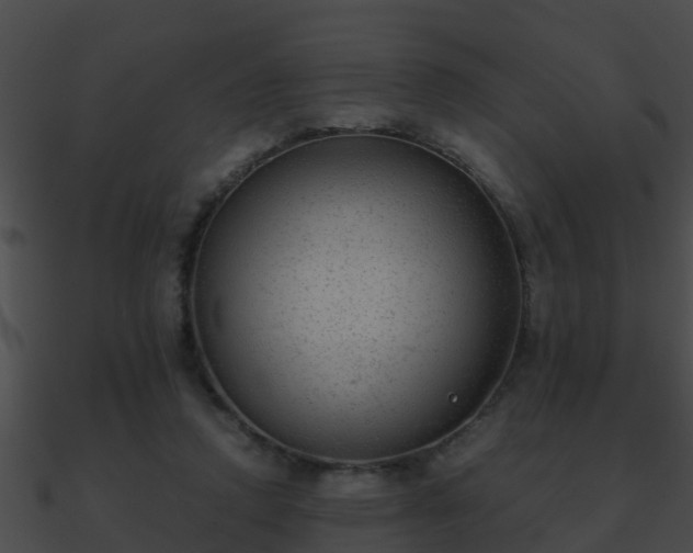 X0000090860354200708030953