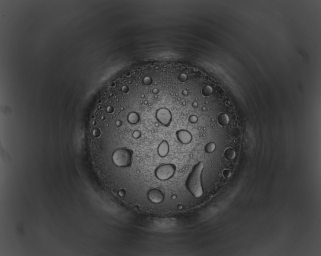 X0000090860355200708030953