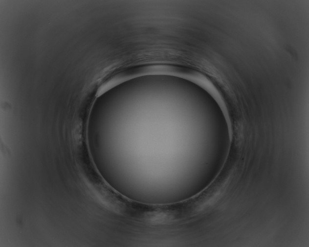 X0000090860356200708030953