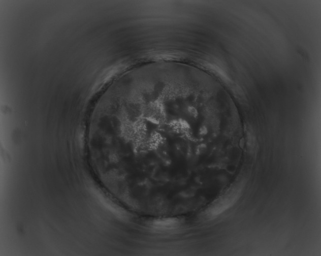 X0000090860357200708030953