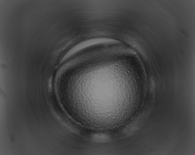 X0000090860358200708030953