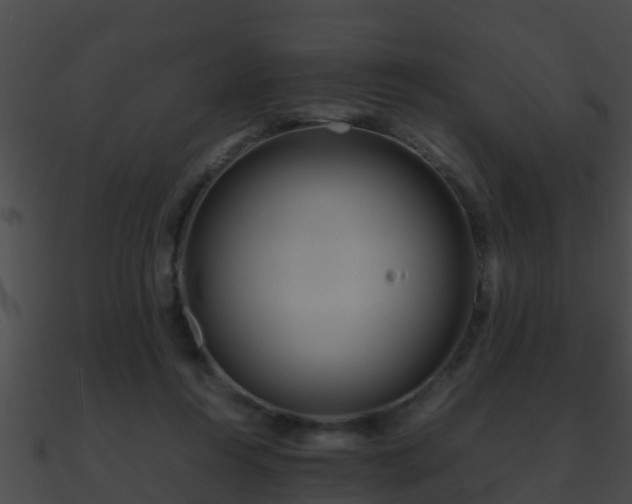 X0000090860360200708030953