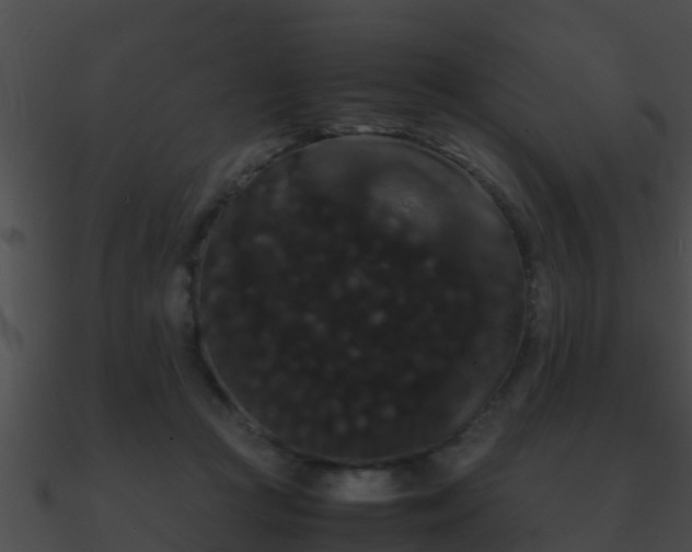 X0000090860361200708030953