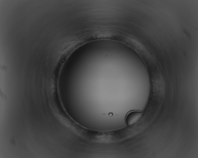 X0000090860362200708030953