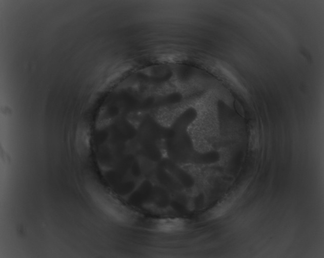 X0000090860363200708030953