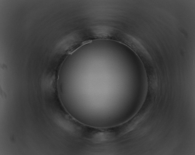 X0000090860364200708030953