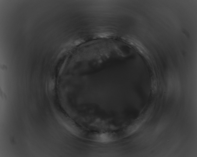 X0000090860365200708030953