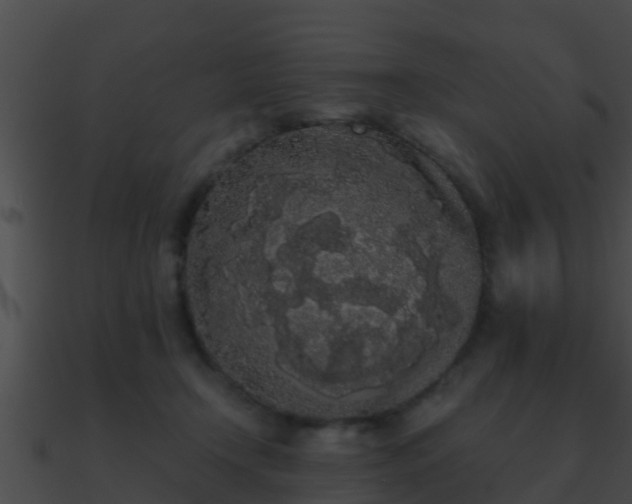 X0000090860366200708030953