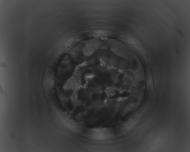 X0000090860367200708030953