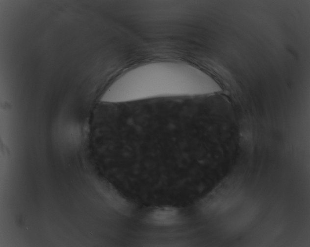 X0000090860369200708030953