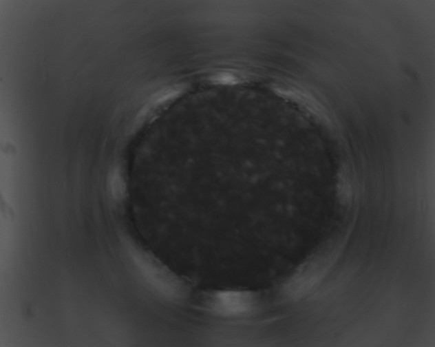 X0000090860371200708030953