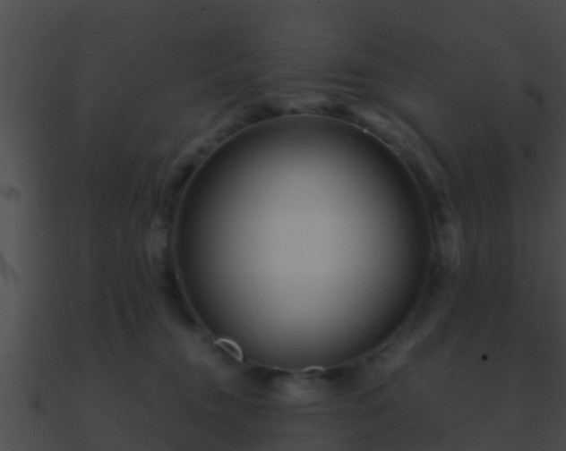 X0000090860372200708030953