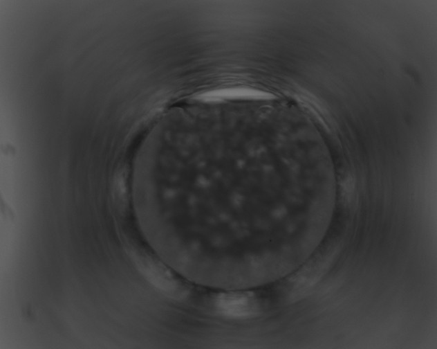 X0000090860373200708030953