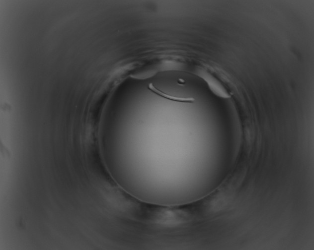 X0000090860379200708030953
