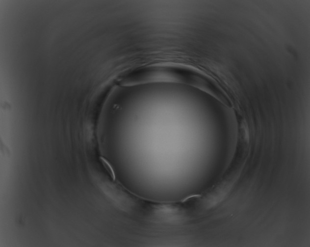 X0000090860380200708030953