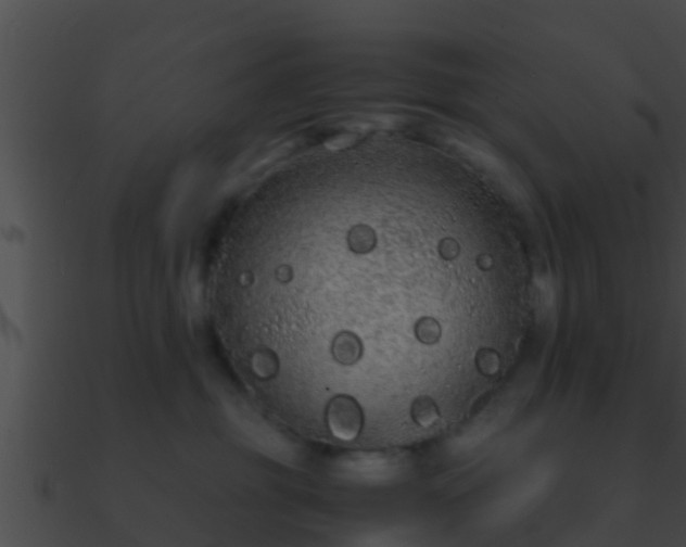 X0000090860381200708030953