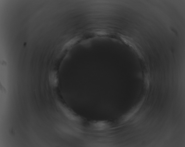 X0000090860383200708030953