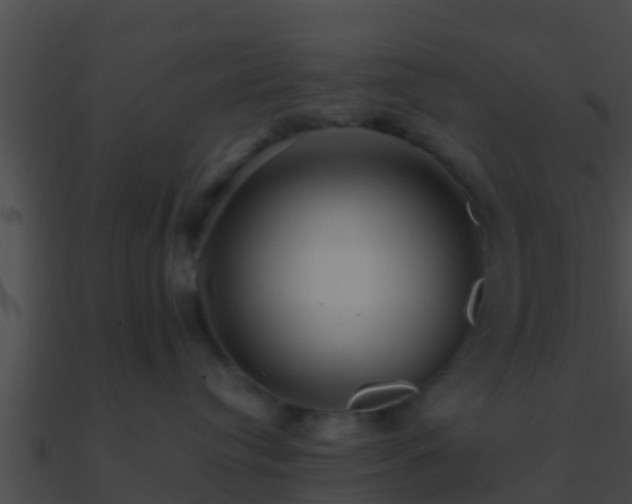 X0000090860384200708030953