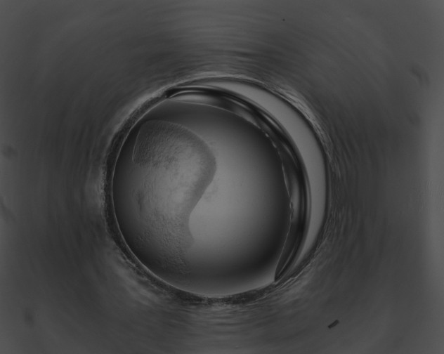 X0000090860387200708030952